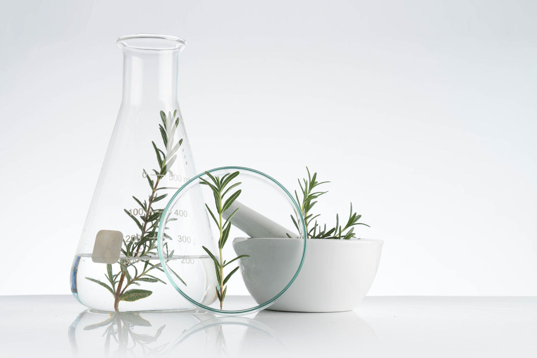 Rosemary oil and rosemary water for hair growth: the ultimate secret ingredient