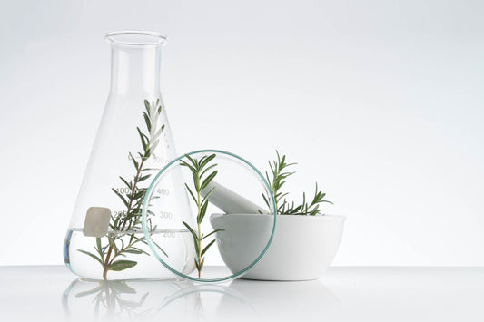 Rosemary oil and rosemary water for hair growth: the ultimate secret ingredient